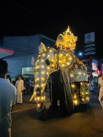 @shani vidanapathirana 🍃