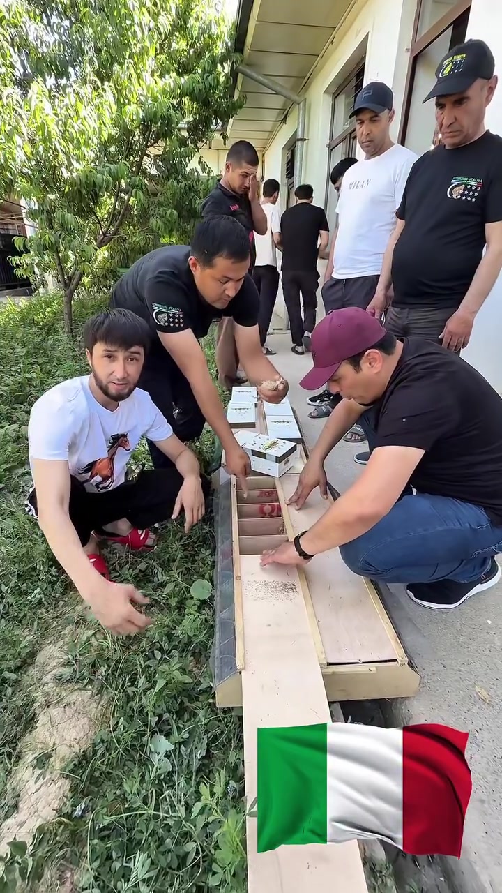@SAYROQI BEDANA UZB 🇺🇿
