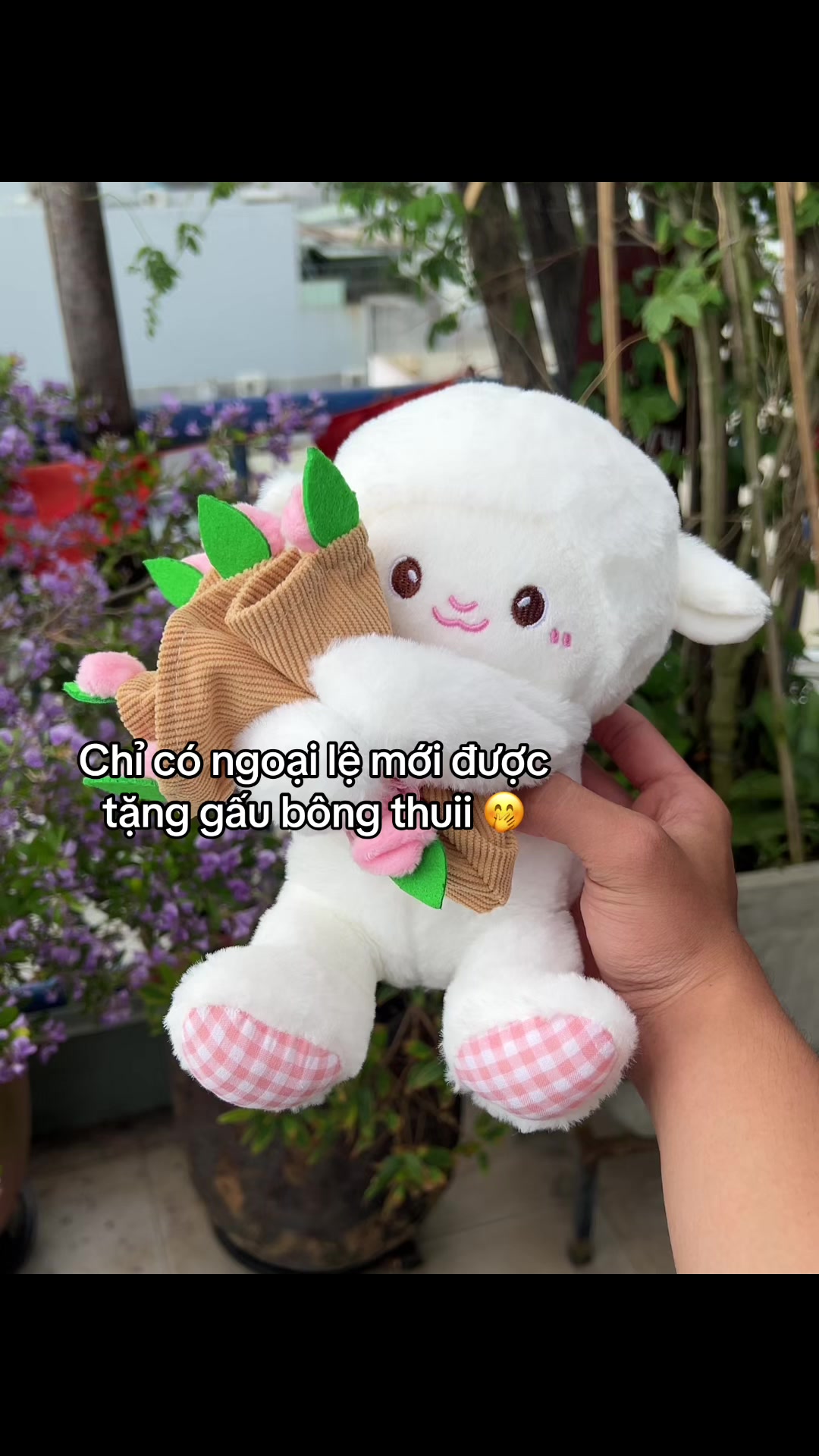 @๐ด๐ ๐ซ๐๐๐๐ ๐ค