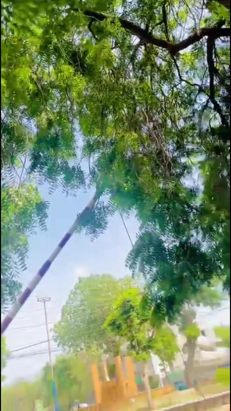 @𝘼𝙩𝙞𝙛🍁