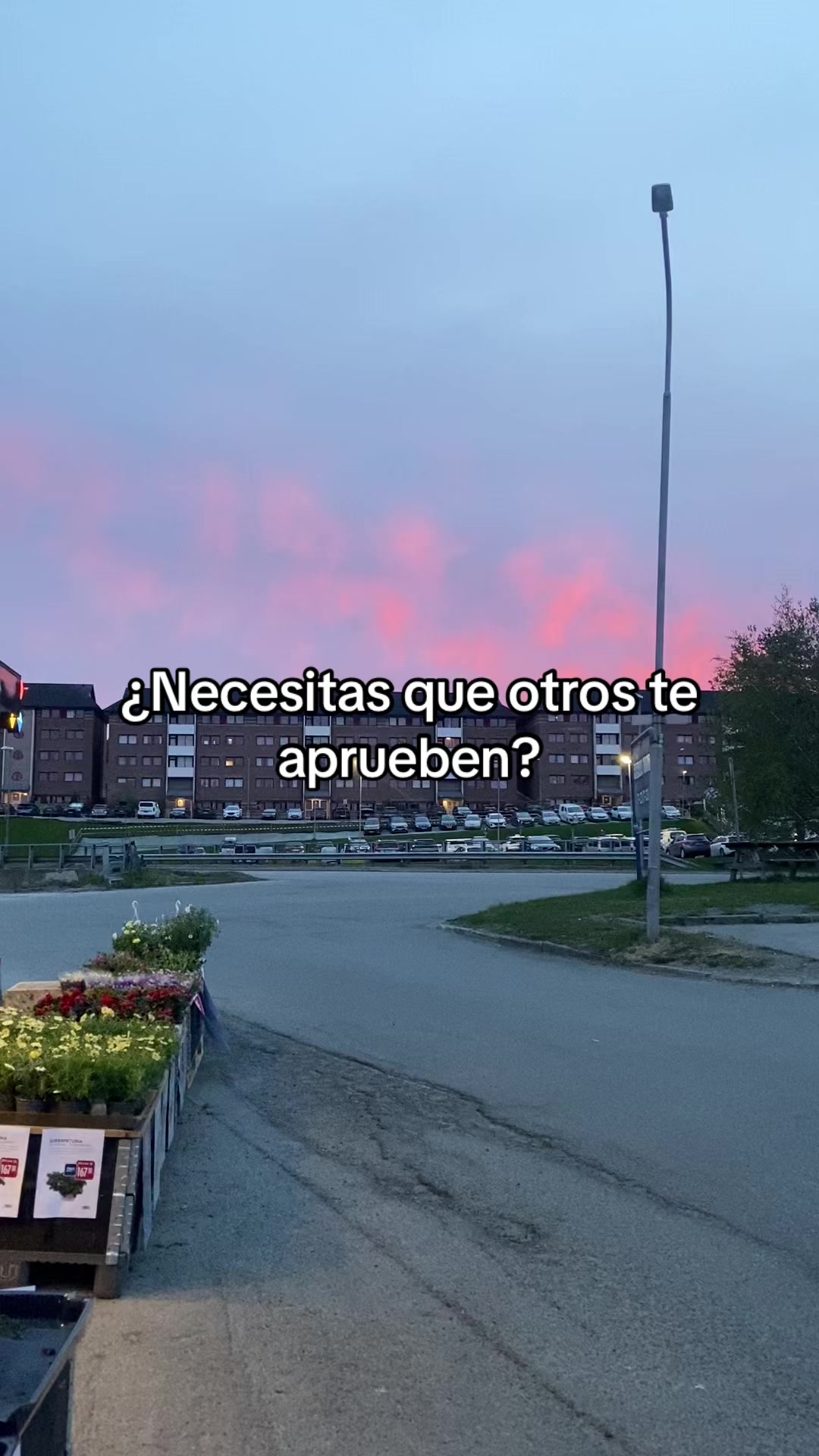 @Ana Garla