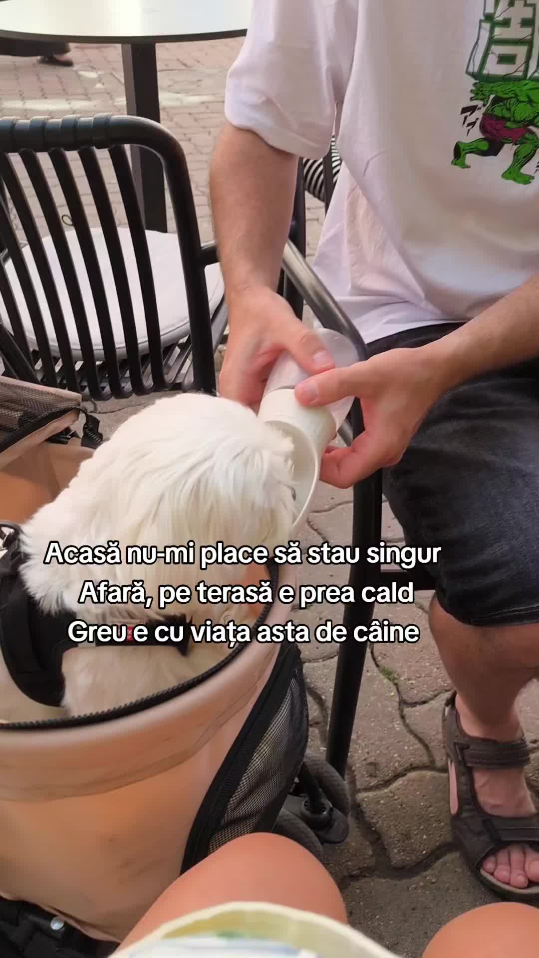 @🐾 BUBI 🐾