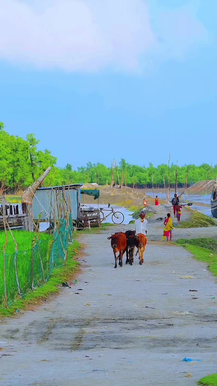 @❤️☘️শেষ পাতা ❤️🩹🍀🥰