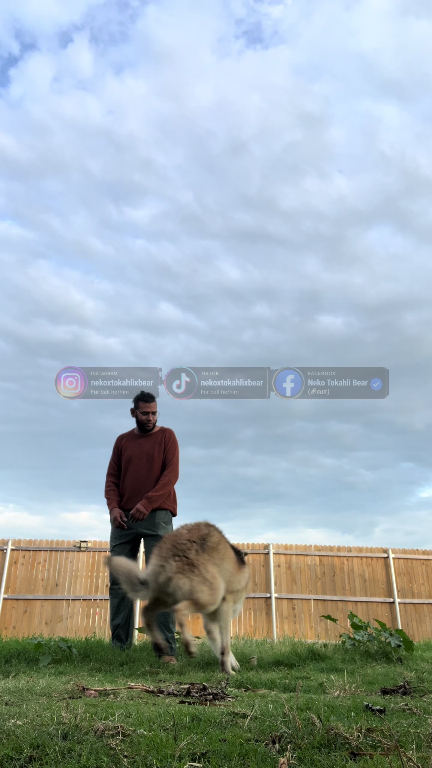 @Neko, Tokahli and Bear