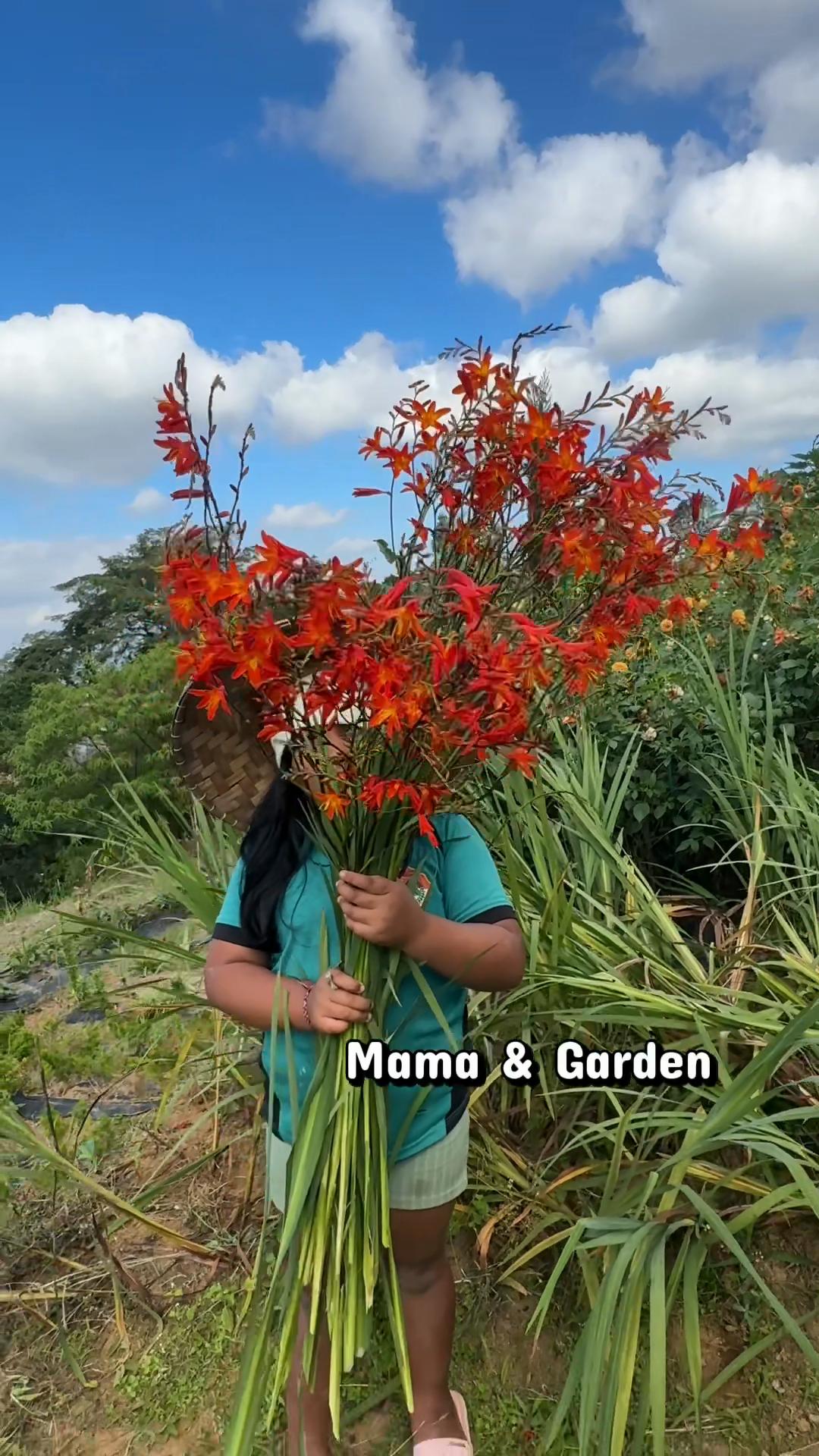 @mama and garden