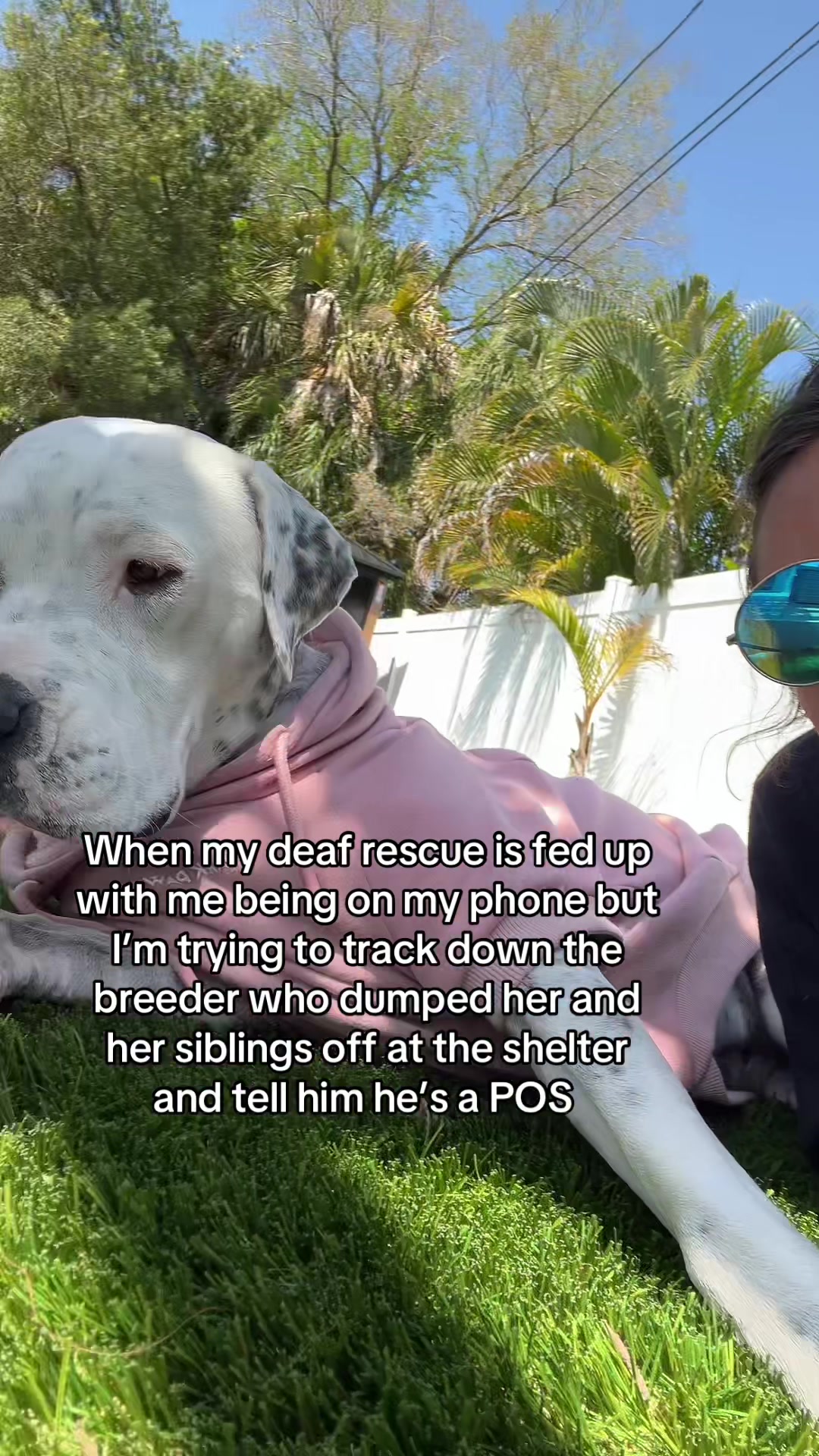 @lifewithstella