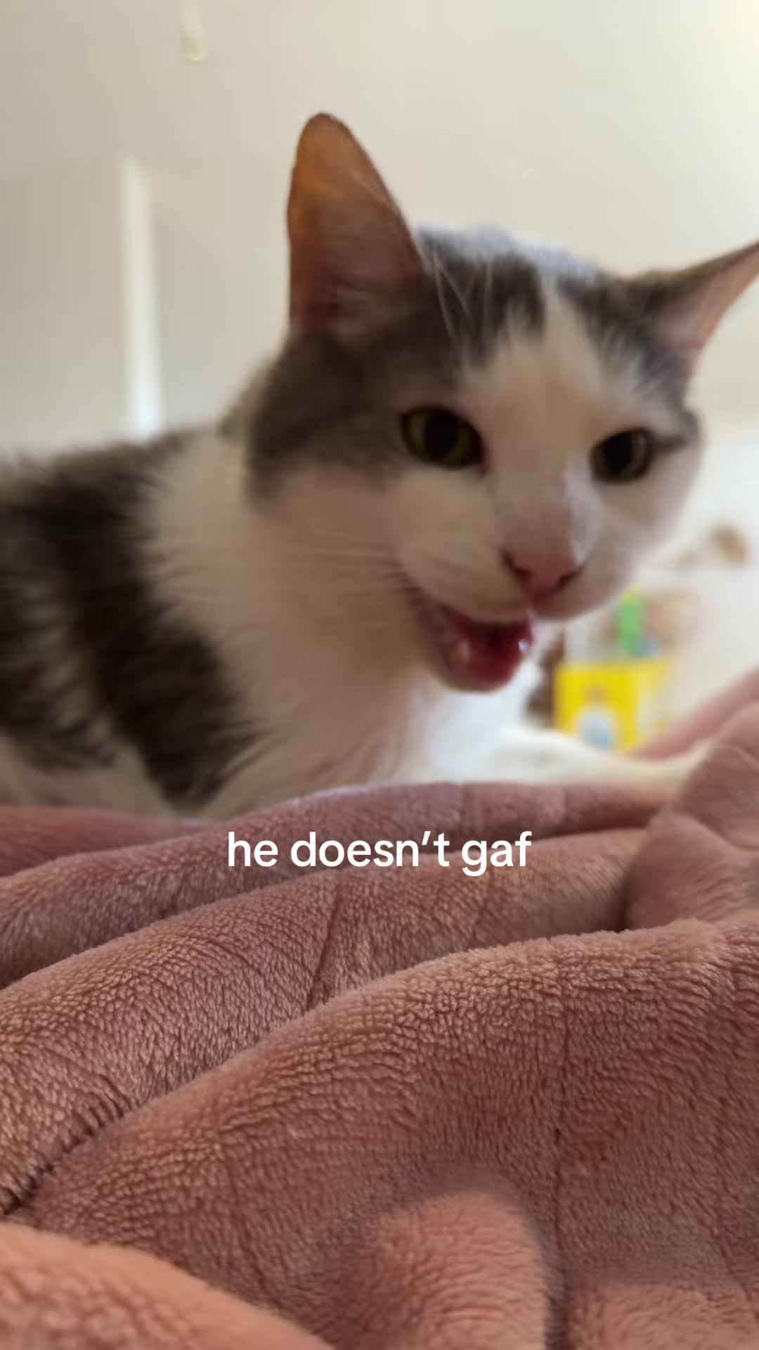 @fartboxx27