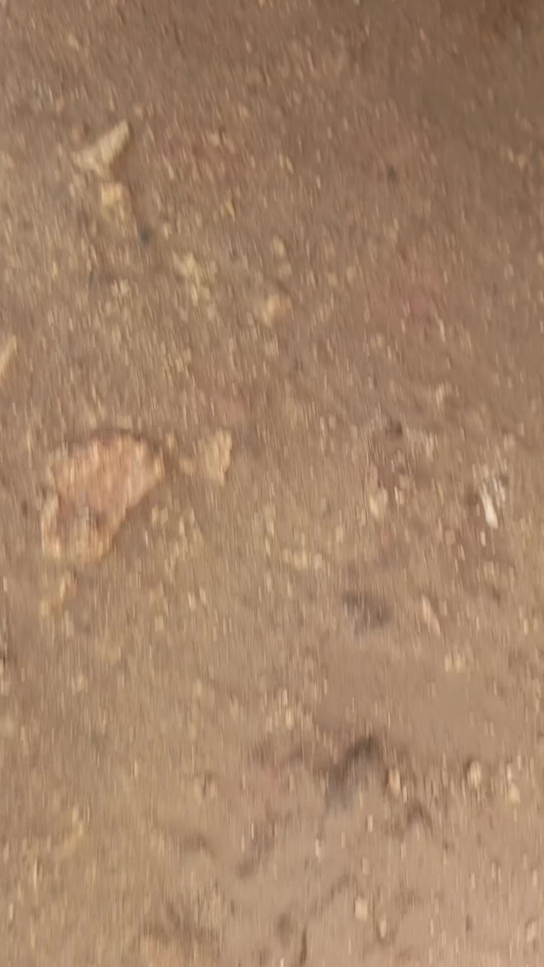 @ام الاطفال