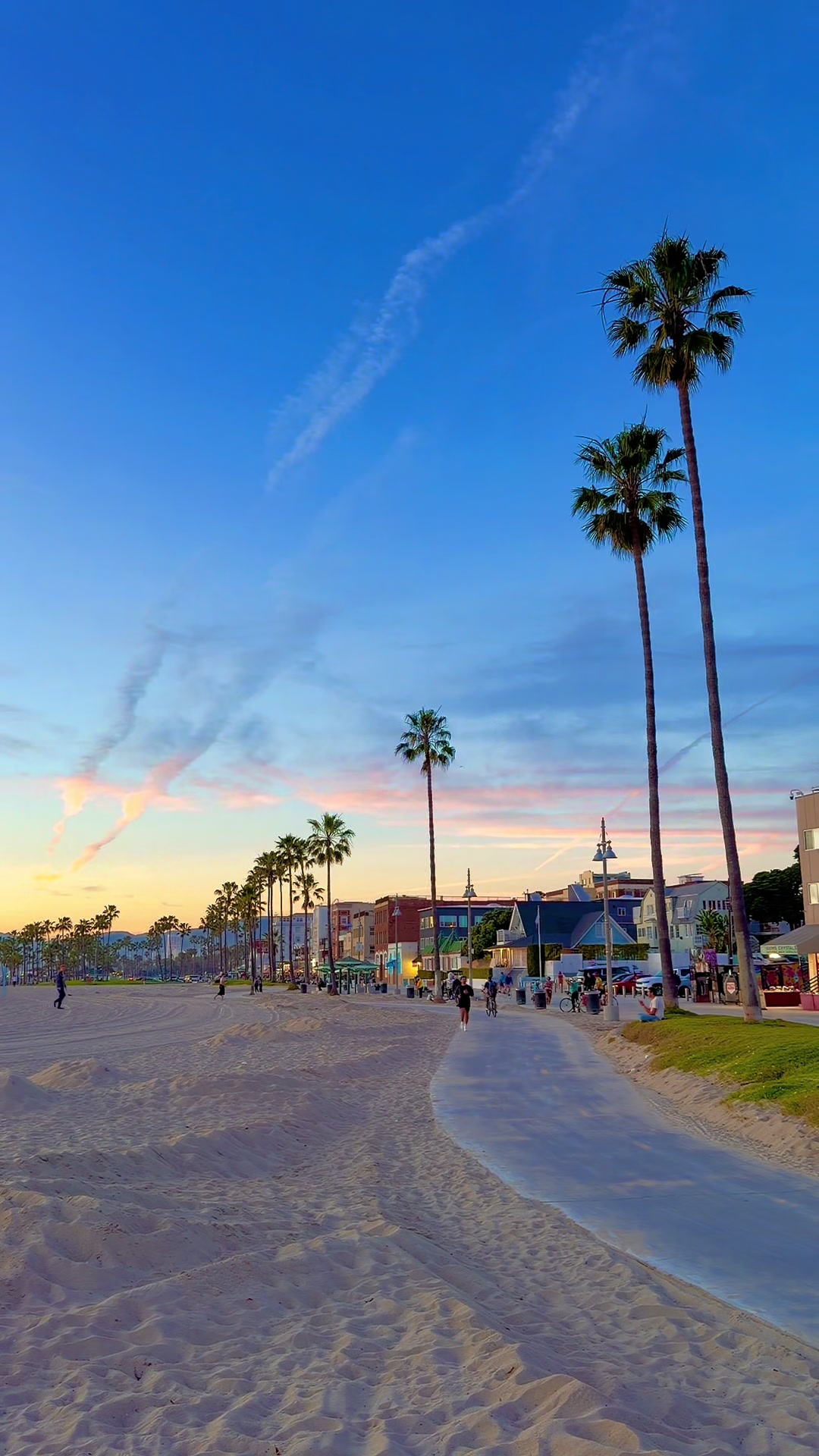 @Venice Beach Boardwalk