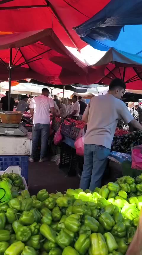 @Alican Dalgı&ccedil;