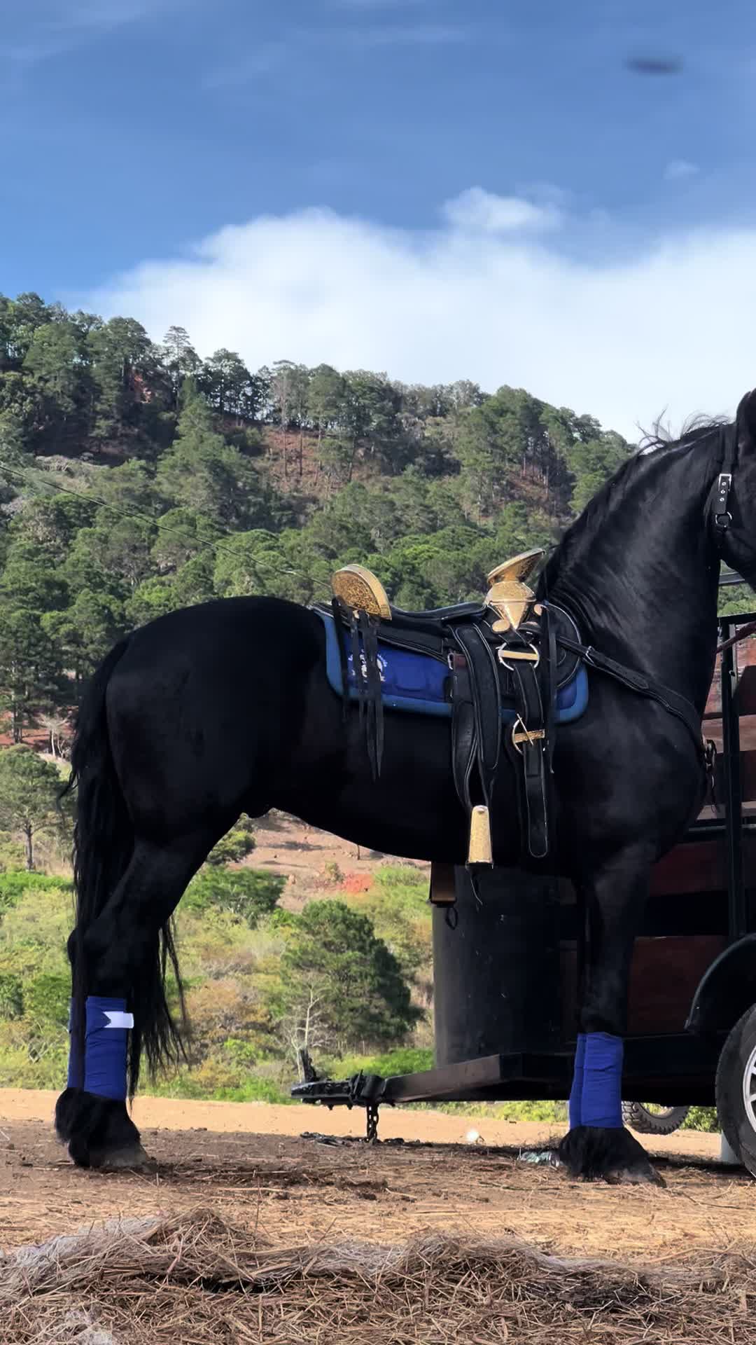 @Rancho La Bendición