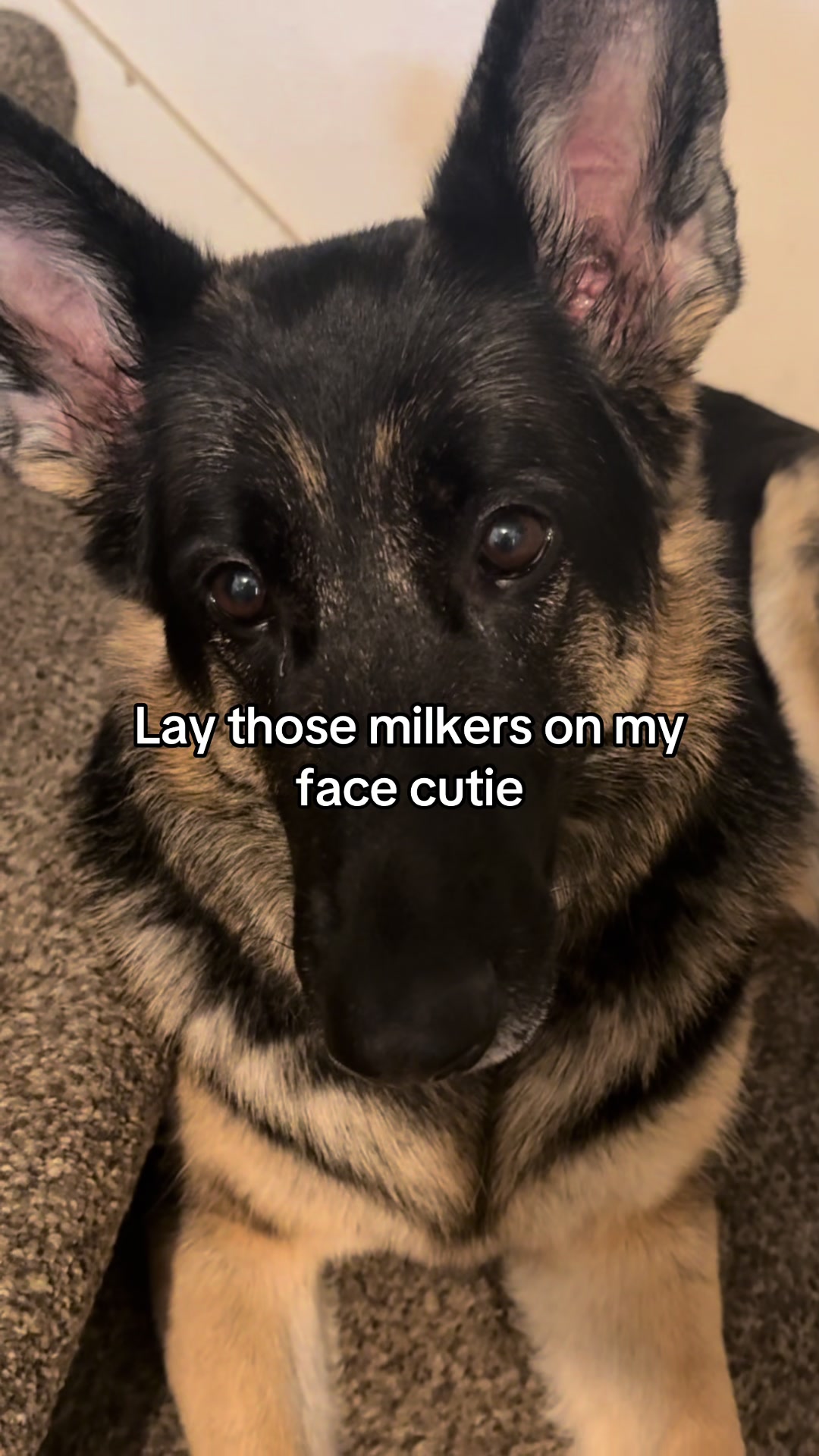 @Bhris