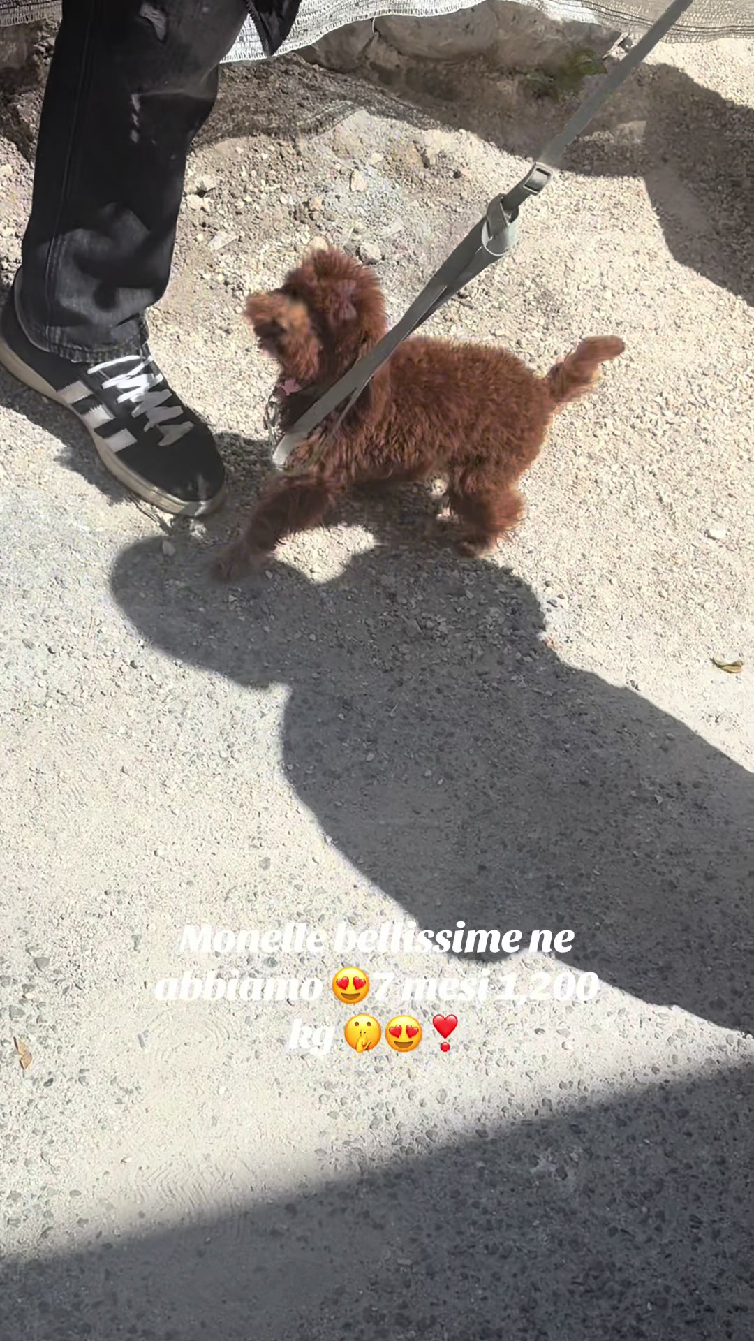 @cuccioli meravigliosi