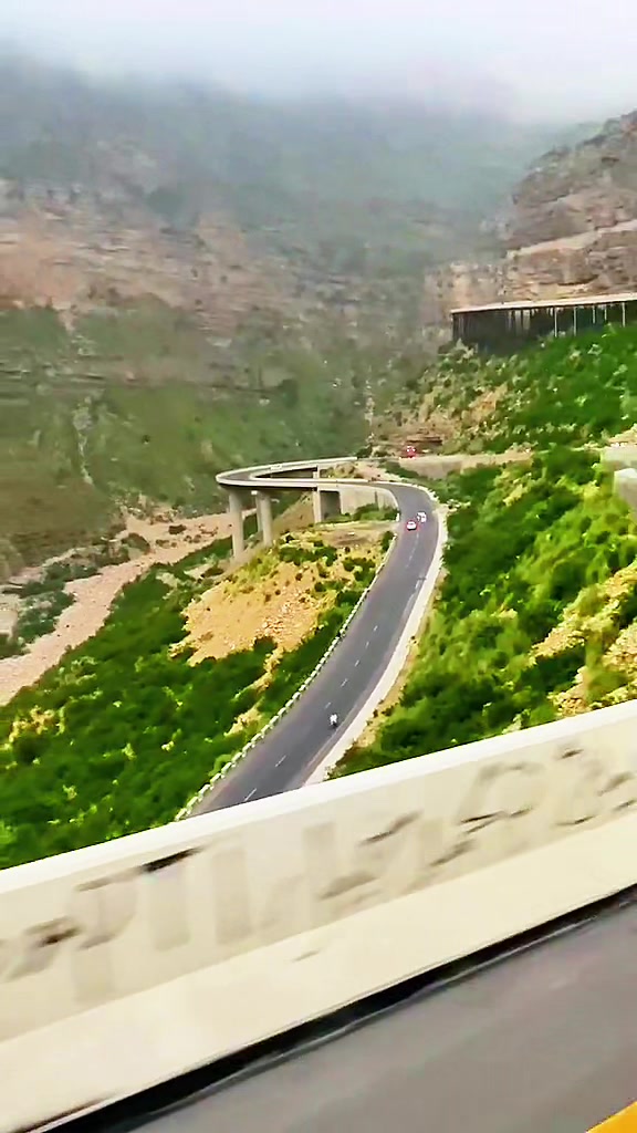 @𝐒𝐡𝐞𝐫 𝐁𝐚𝐝𝐬𝐡𝐚𝐡 🌿