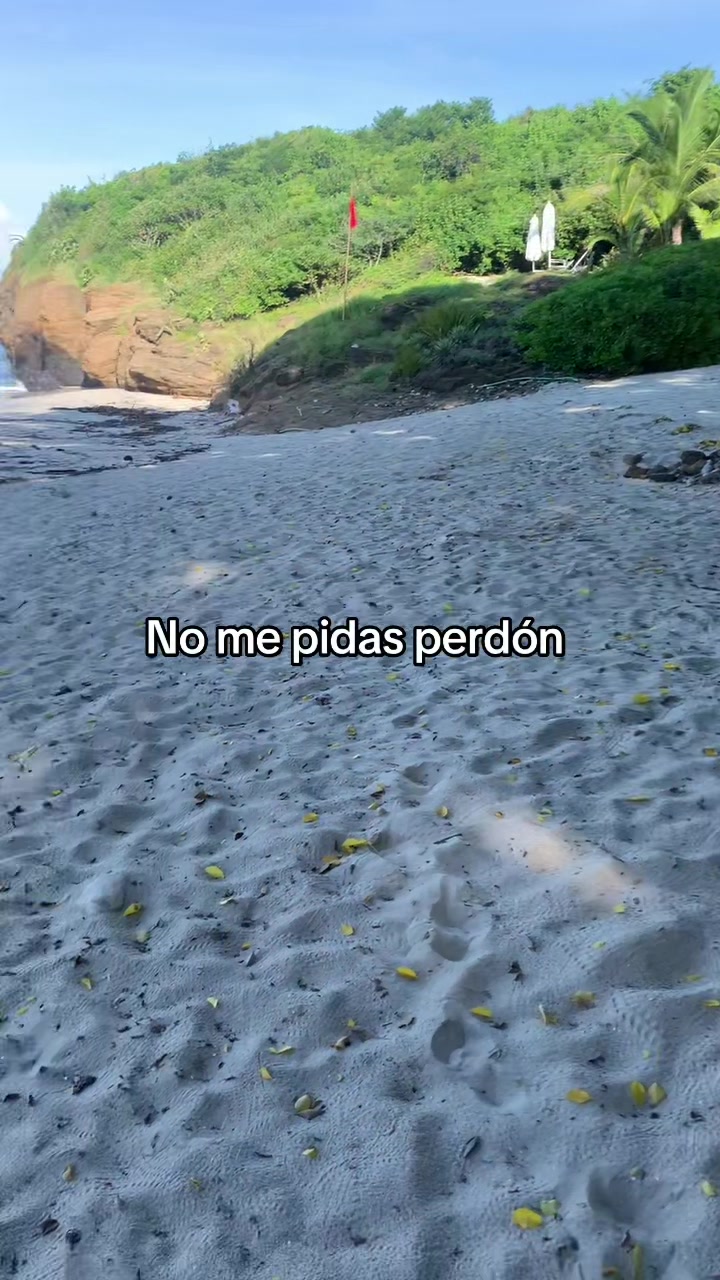 @Orlando Saucedo