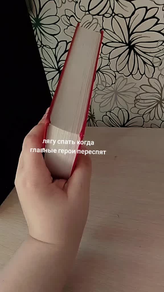 @книжный лисёнок