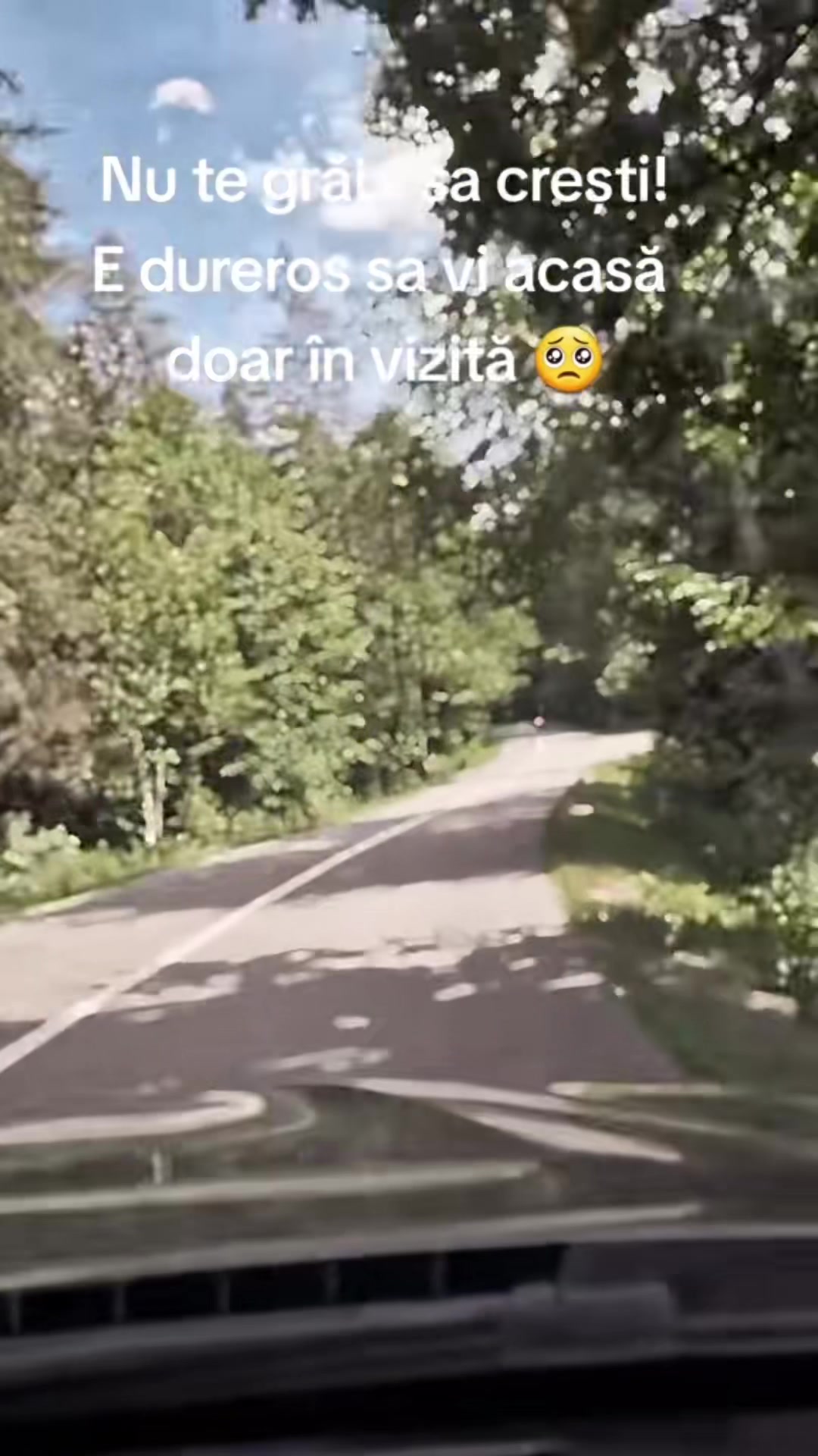 @Mădălina Todorut