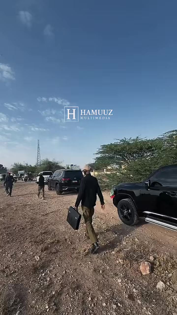@Hamuuz🎥