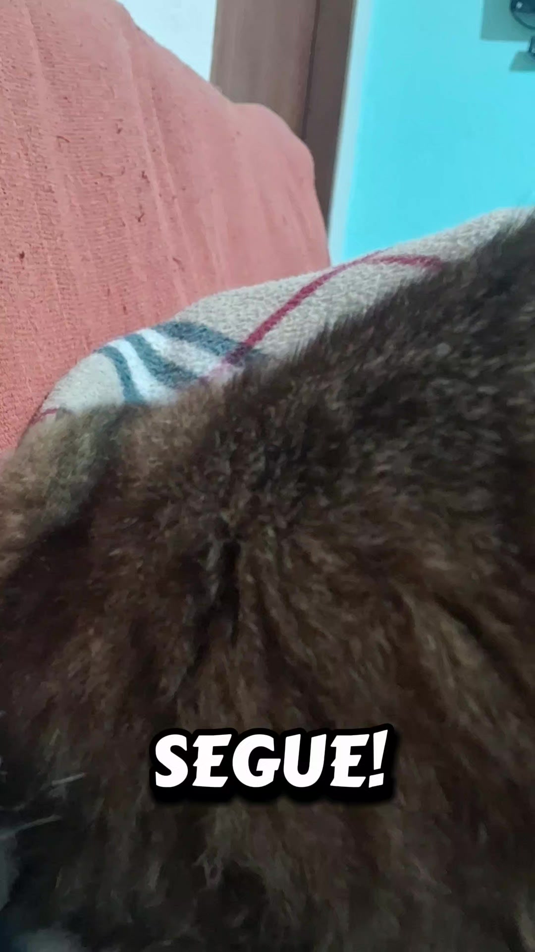 @lua