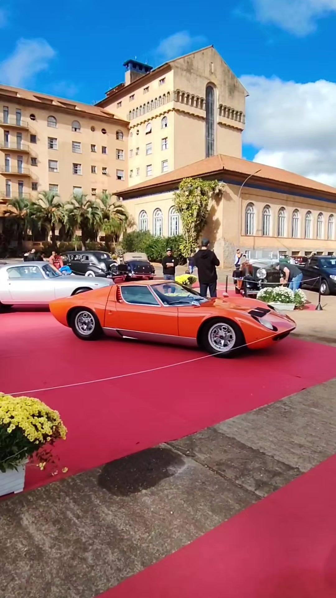 @Cars in Brasil