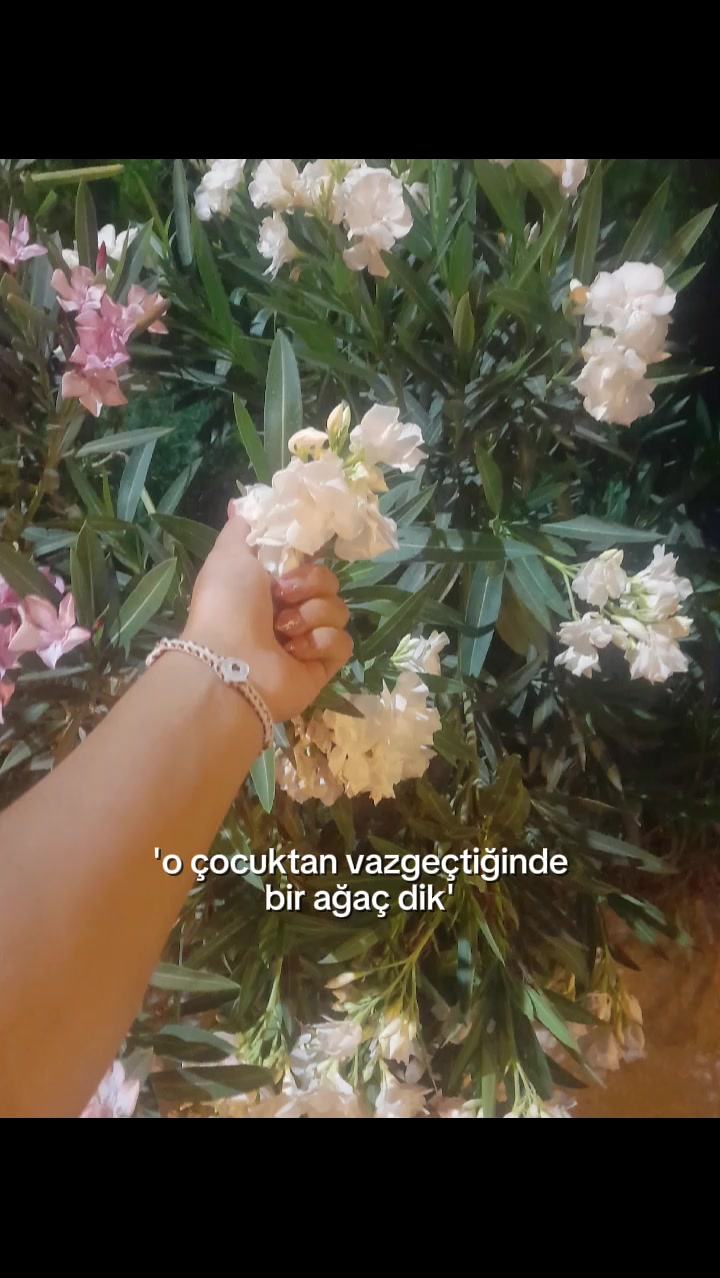 @𝐆𝐨𝐳𝐞𝐥~𝐤𝐚𝐦𝐦📈🫧