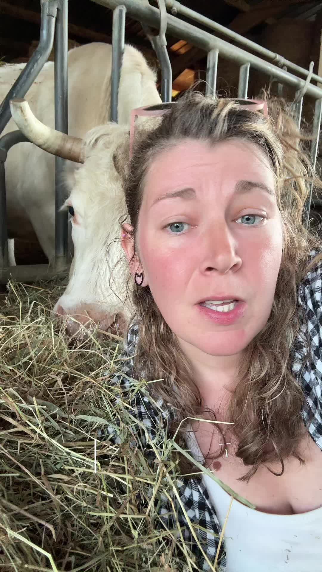 @ᏦᎥᎥᏦᏗᏗ 🌾🚜🐮