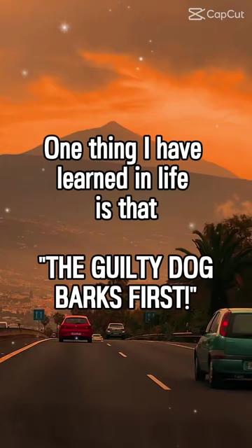 @voice4all.