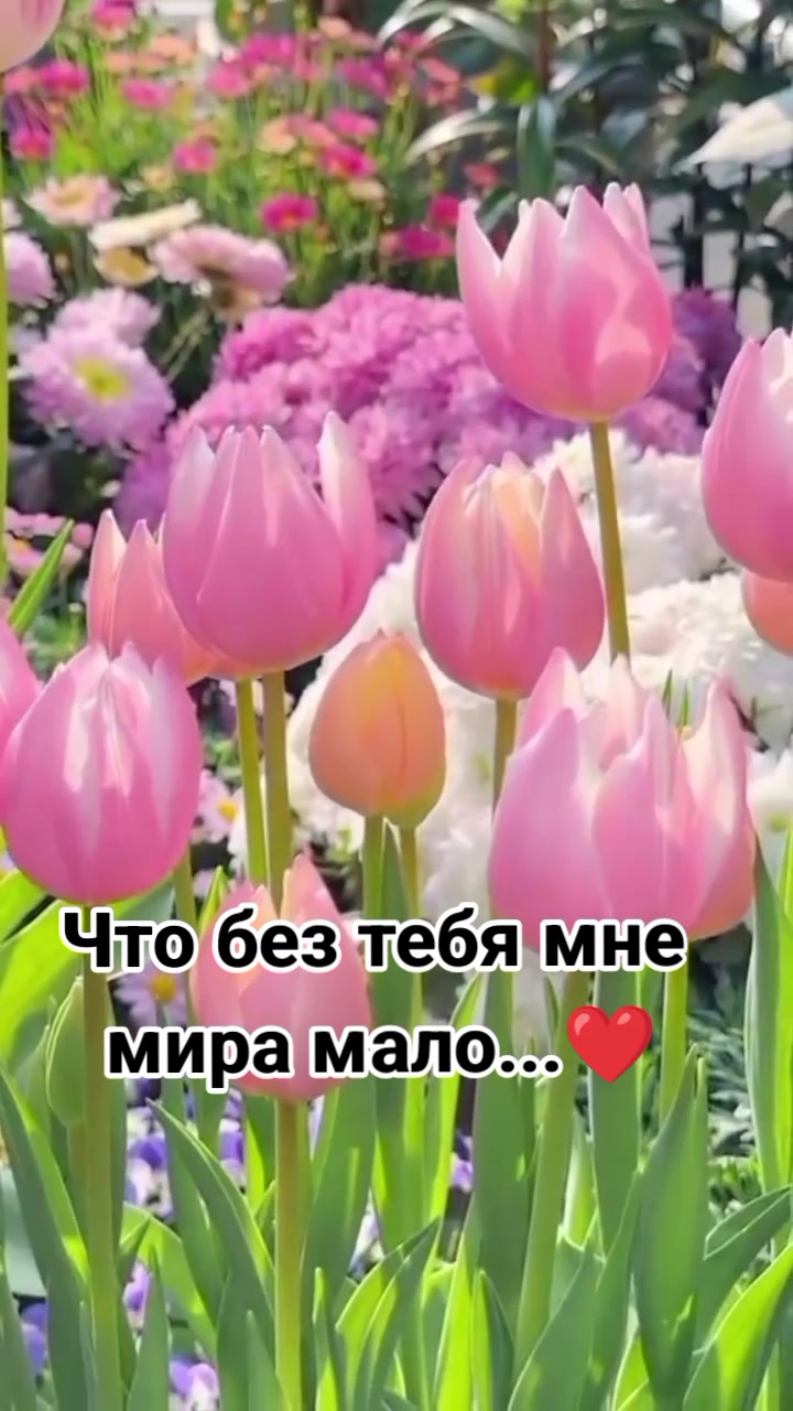 @evgenia zvagincevaevgenia167