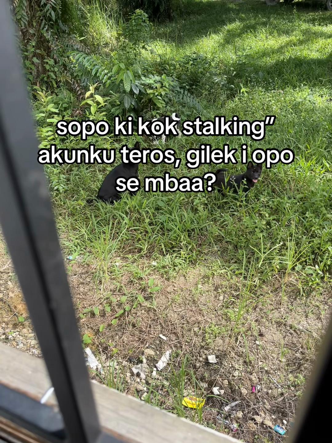 @Niiii