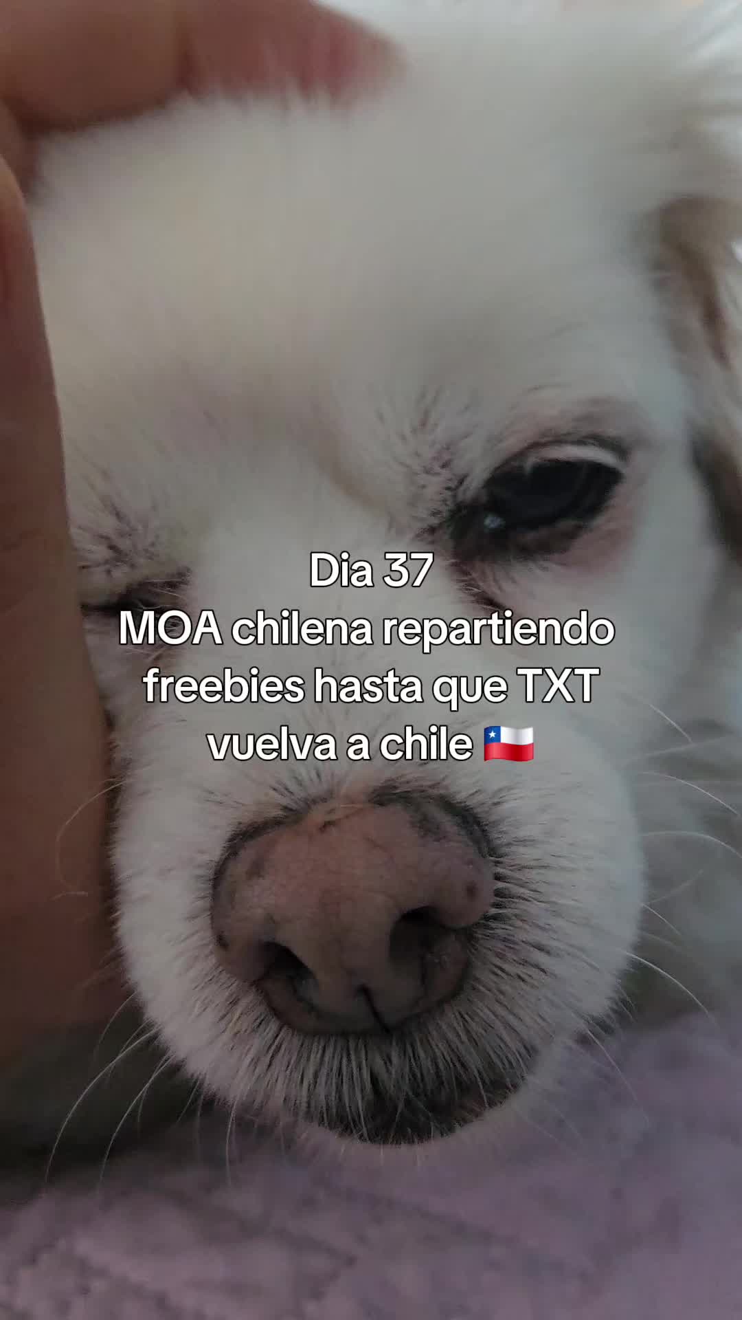 @Martifariasrm