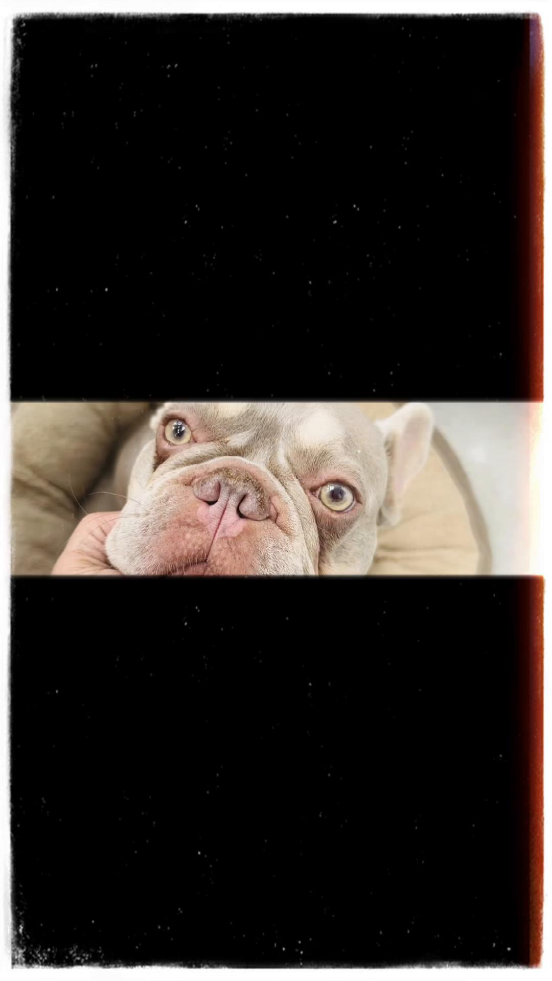 @Liz