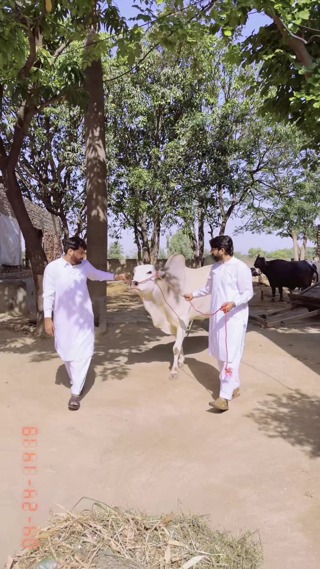@Faraz_Rajput