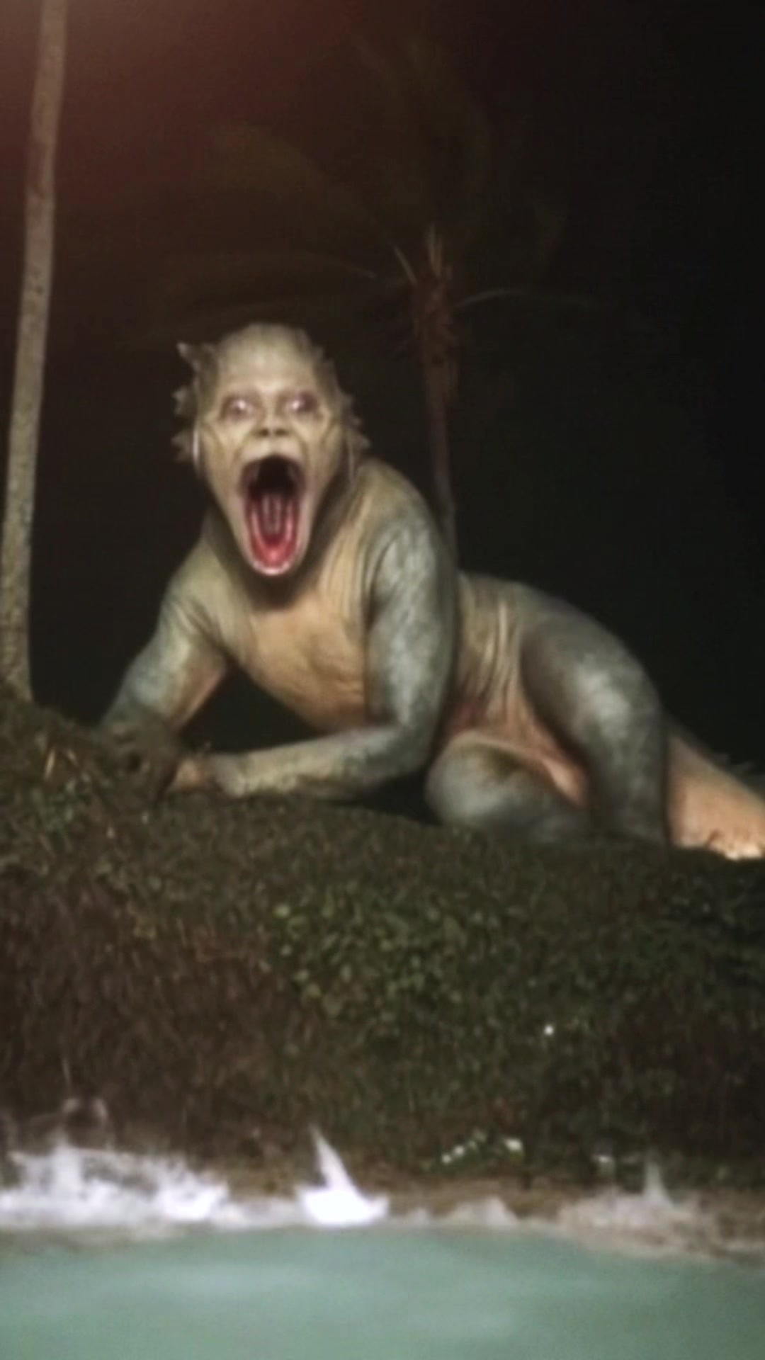 @SwampDiscoveries