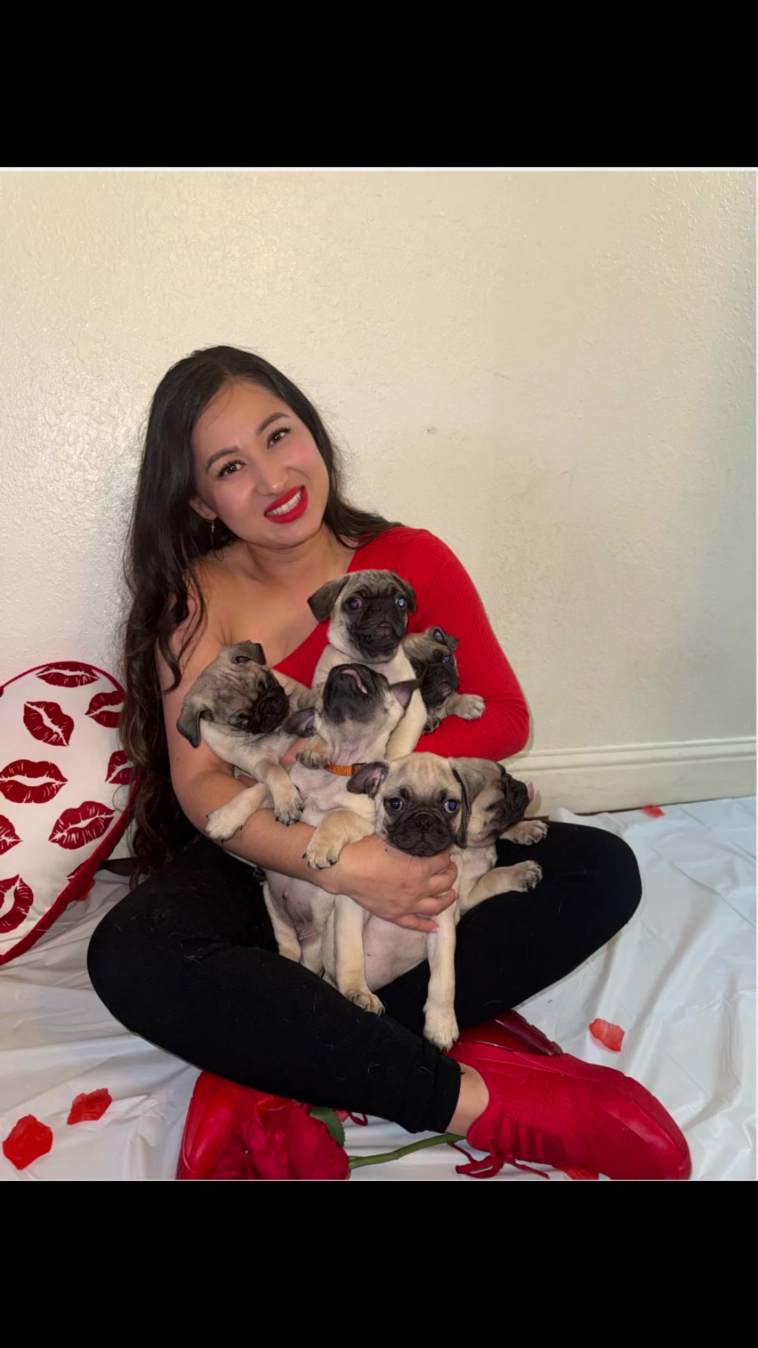 @Pogi y maganda pugs