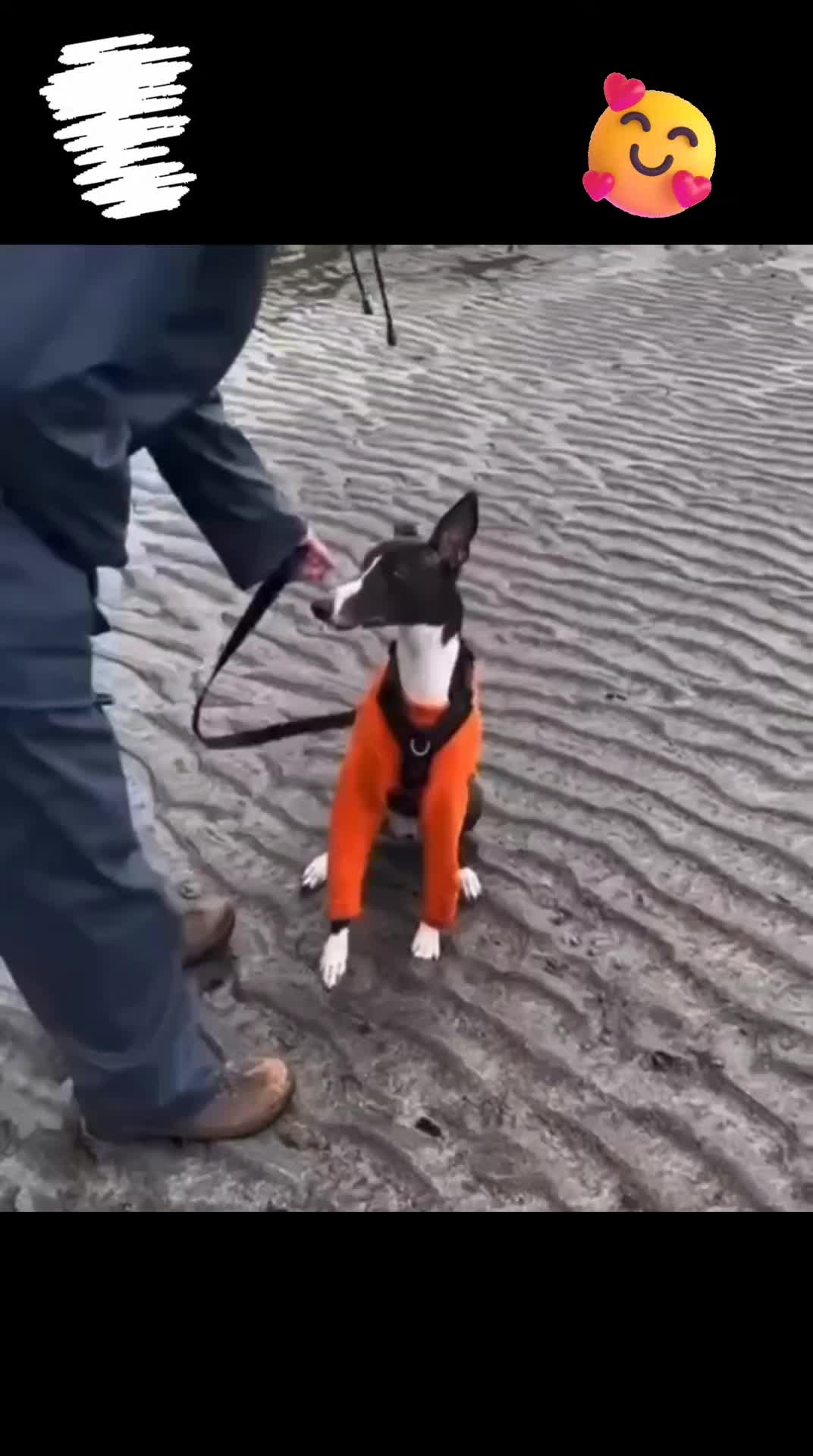 @🤣Vidéos Drôles.Zzz