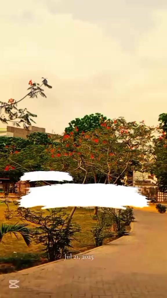 @S&alpha;ʅ M&alpha;ɳ 🥀