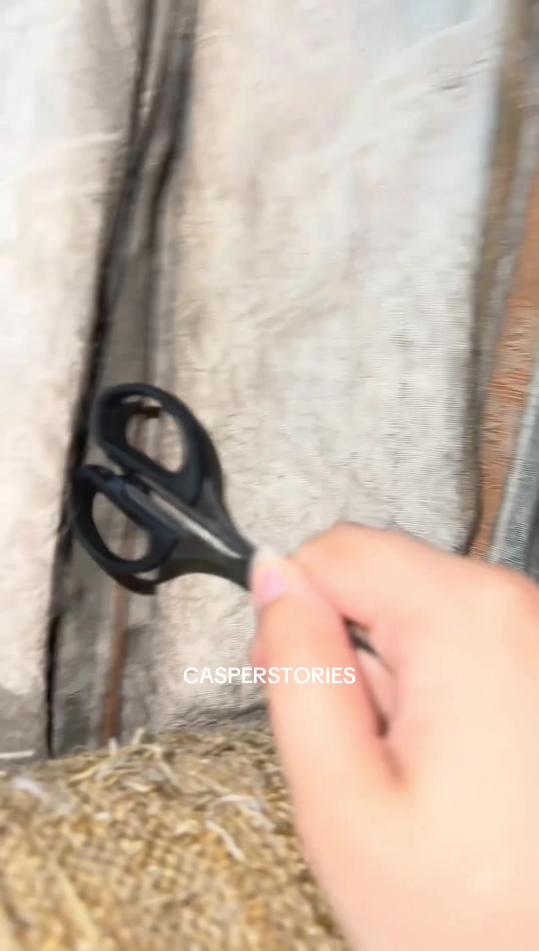 @๐ช๐๐๐๐๐ & ๐ด๐๐๐๐๐ ๐พ