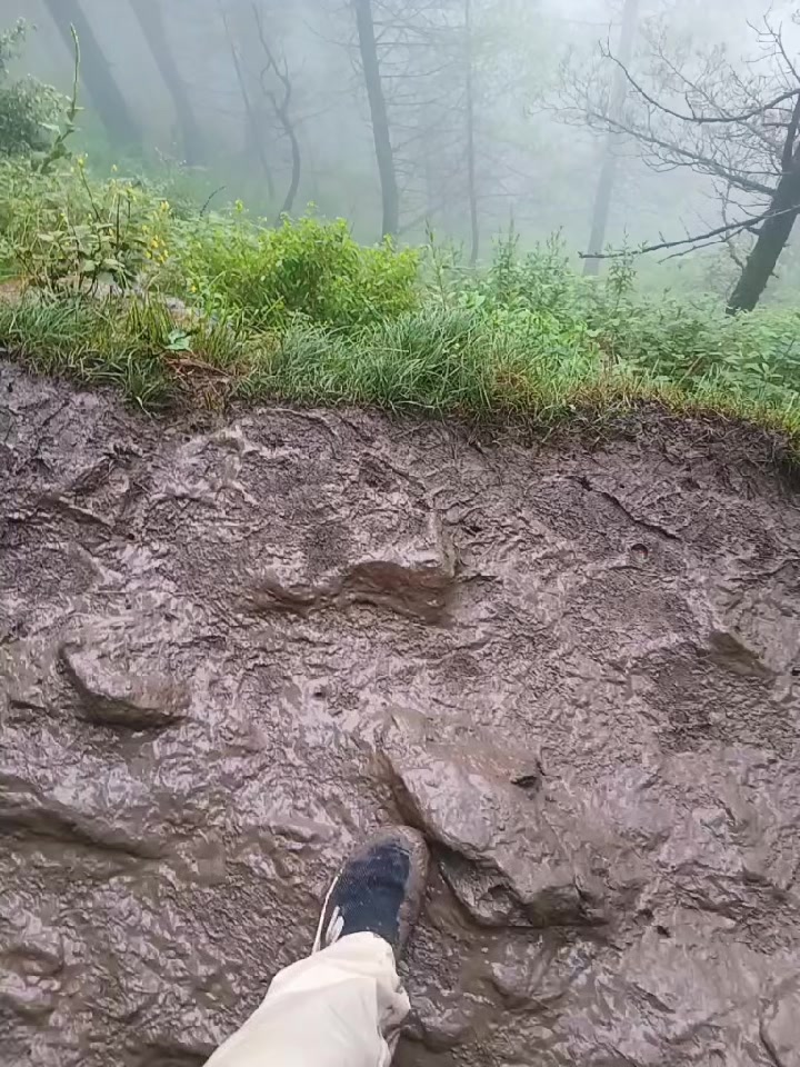 @Shahi Malik