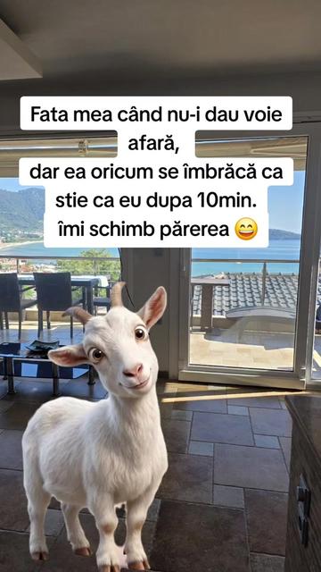 @Tasya