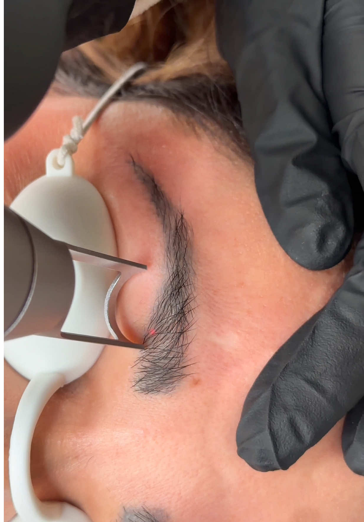 @sisnsisbrows