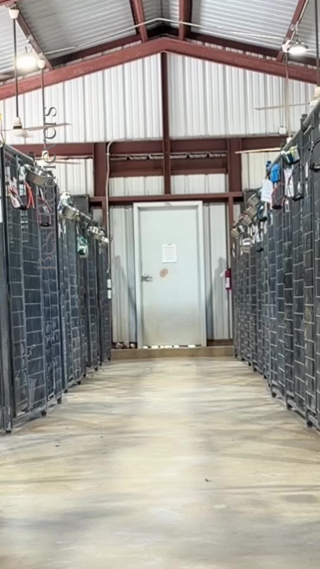 @Best Retrievers