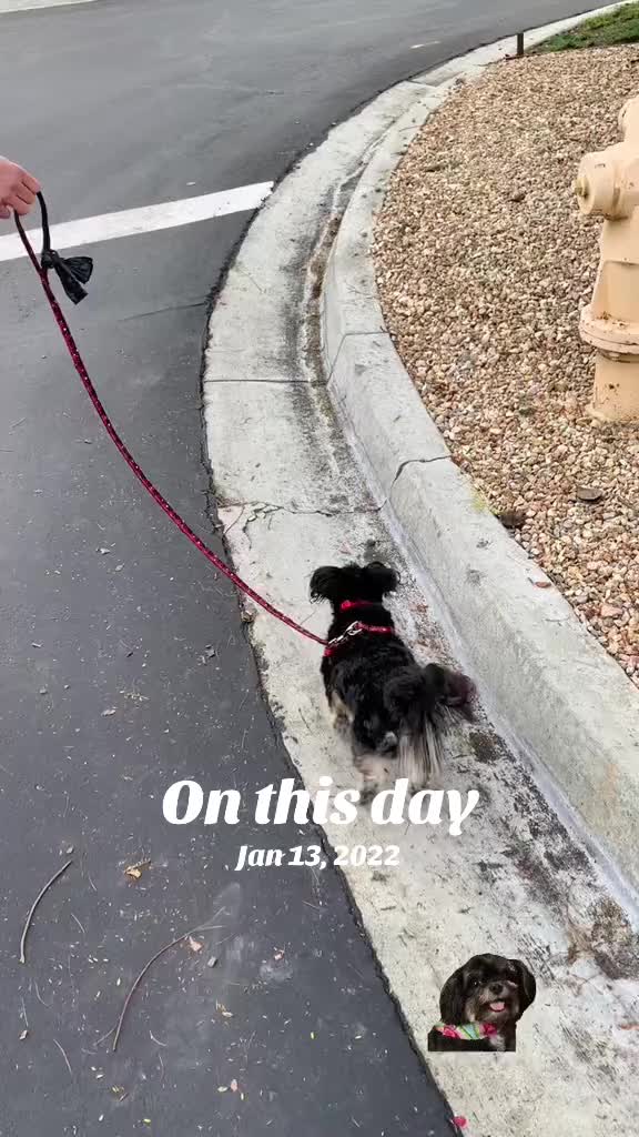 @Katrin - HappyPawsPantry