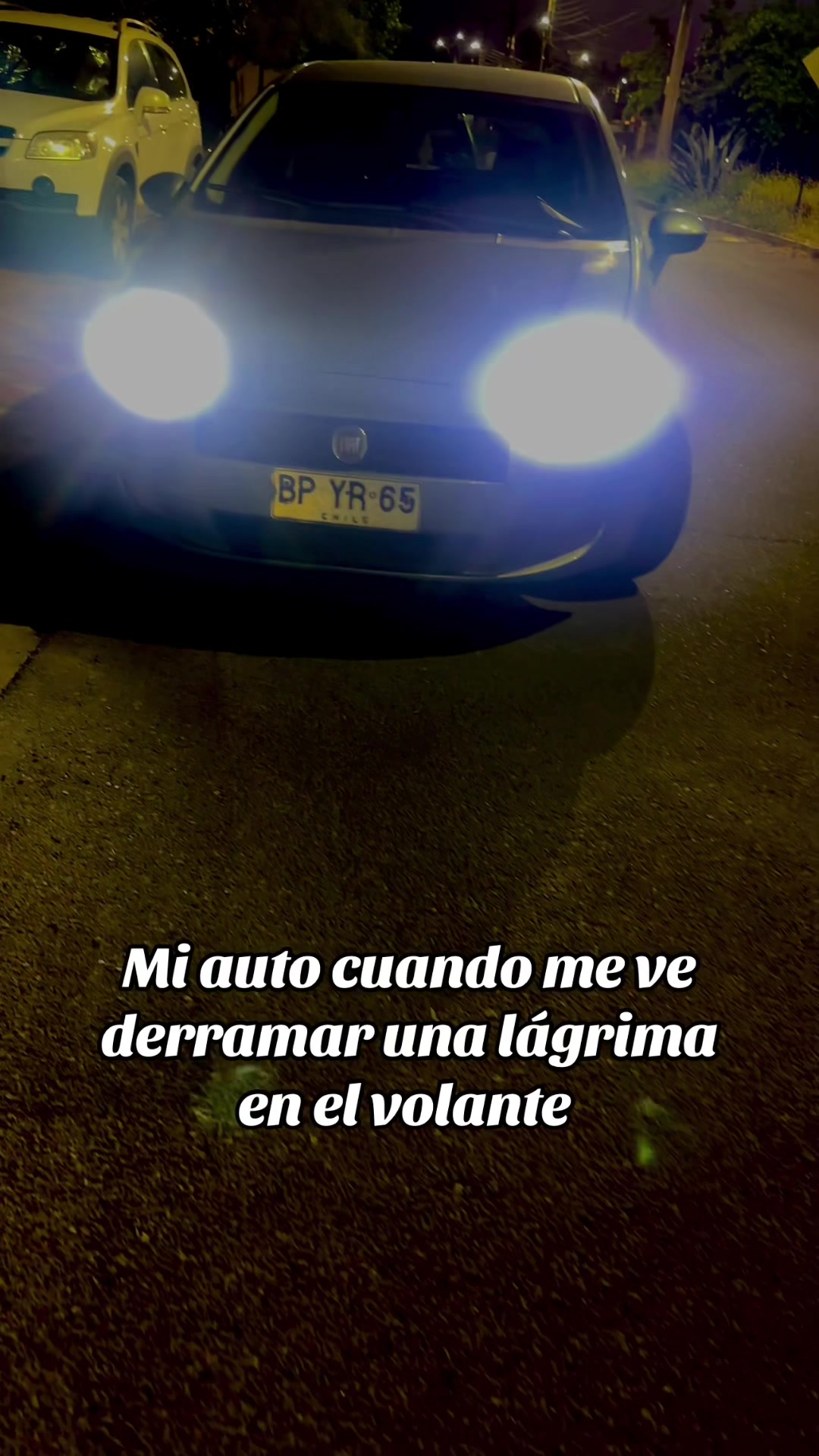 @Williams EM