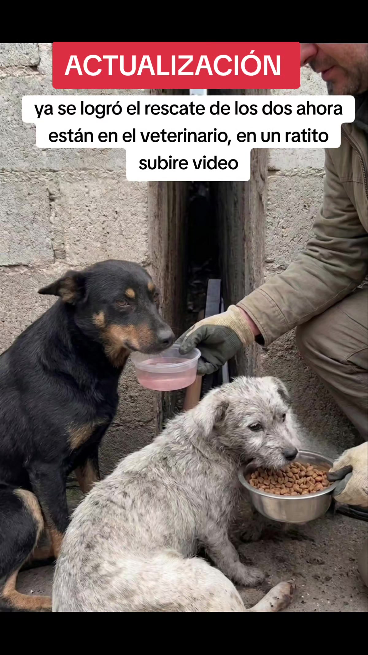 @Asoc. Peluditos