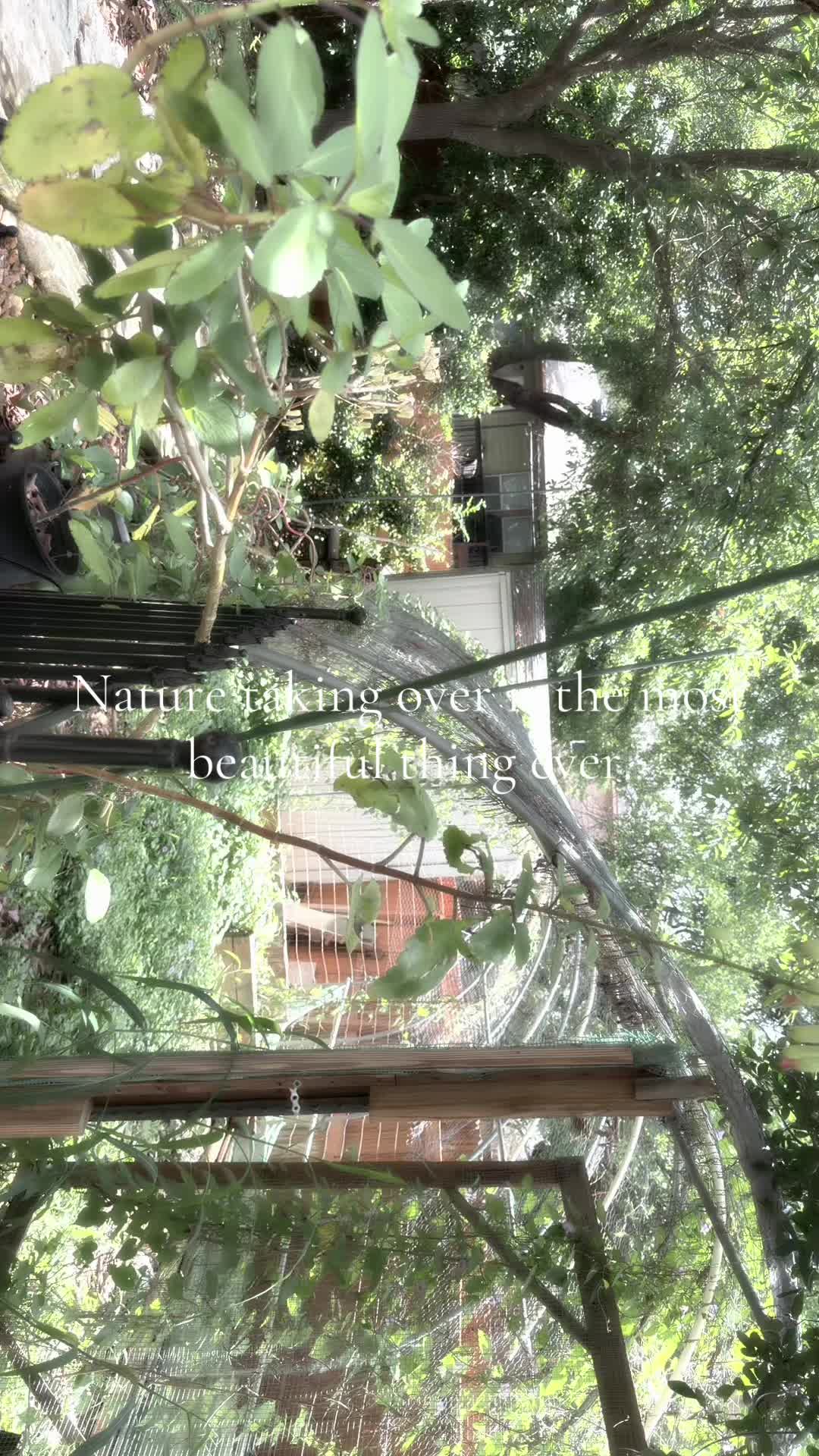 @🧟&zwj;♀️𝔐𝔦𝔯𝔞𝔫𝔡𝔞🧟&zwj;♀️🏹