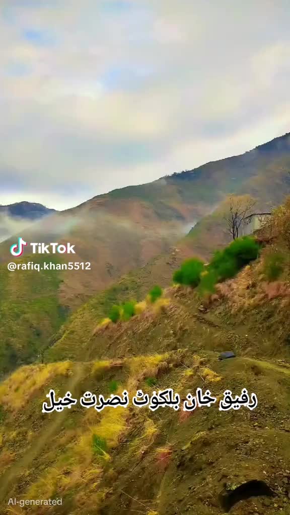 @Shoaib Khan786