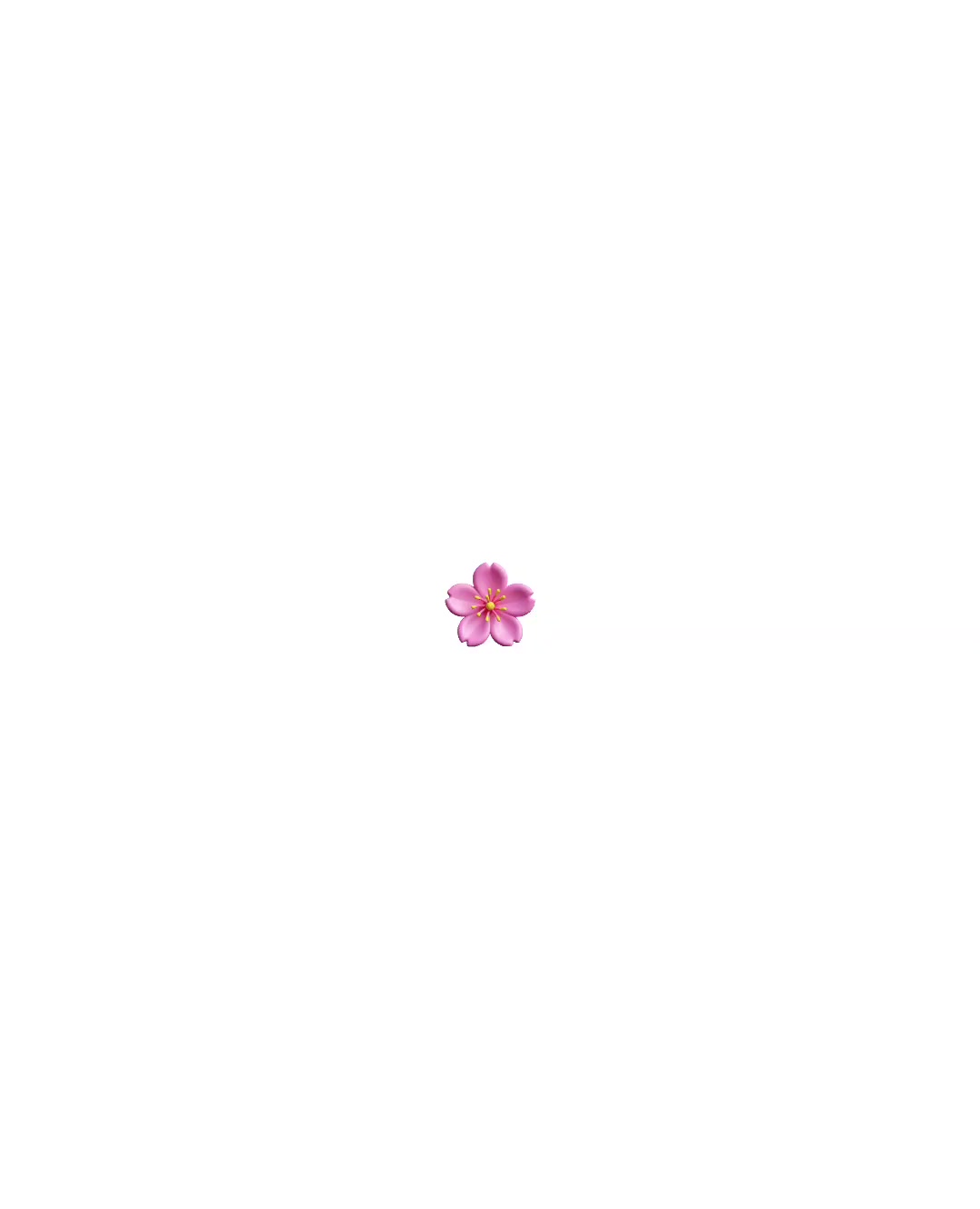 @๐บ ๐ฐ ๐น ๐ธ ๐ ๐ ๐ผ๐๐ชฝ