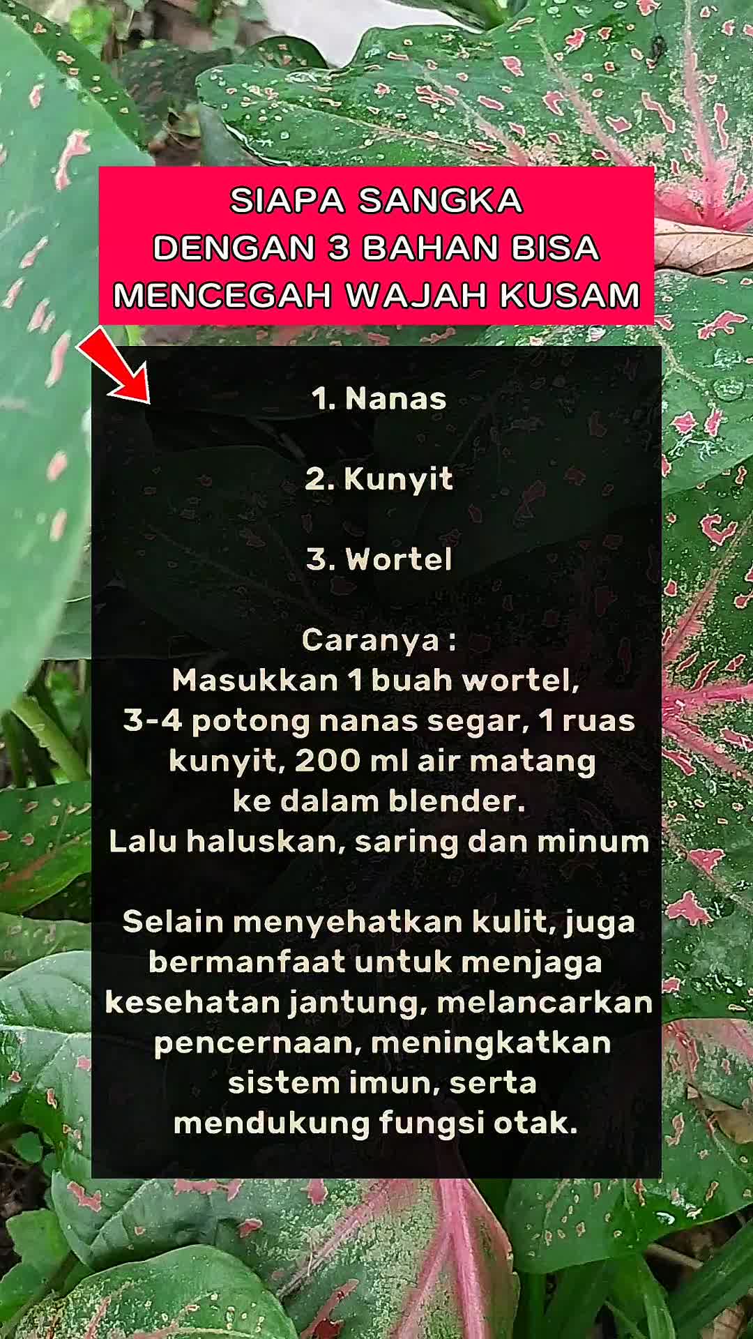 @Ghoniyah