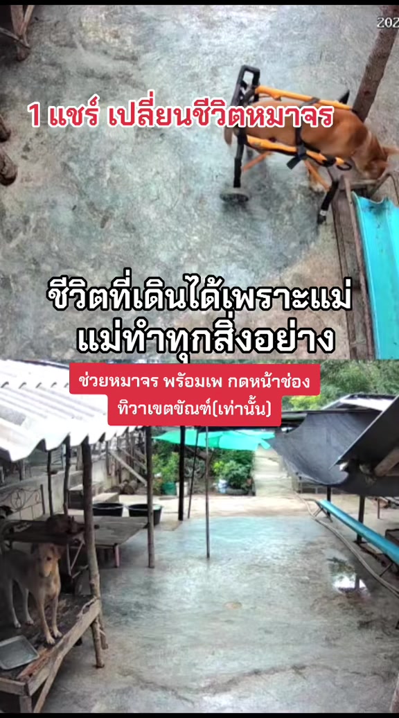 @๐๘๖๑๔o๘๓๙๖ทิวาเขตขัณฑ์