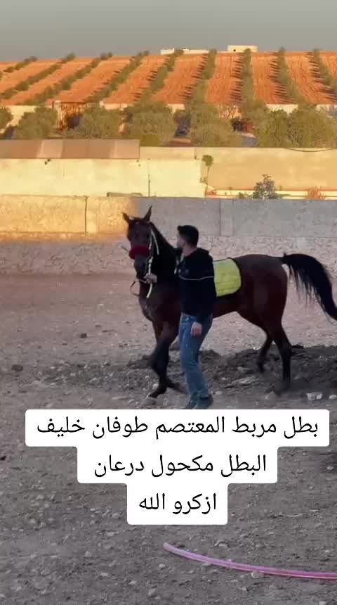 @أحمد(☆▽☆)البيراوي(☆▽☆)